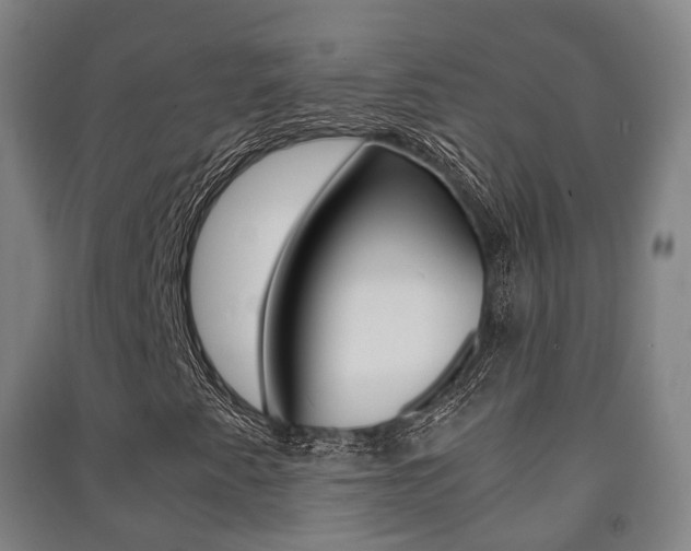 X0000091451345200708161038