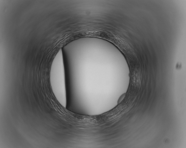 X0000091451346200708161038
