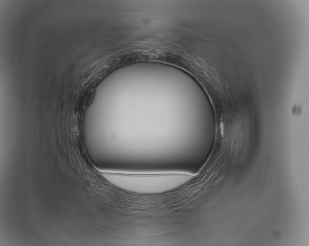 X0000091451347200708161038