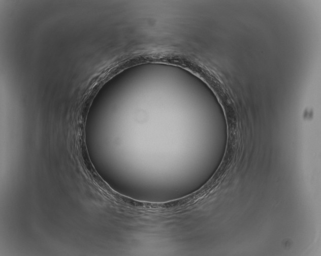 X0000091451349200708161038