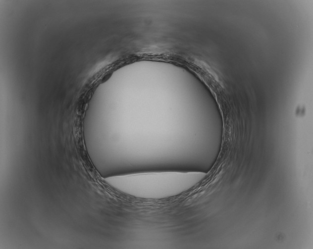 X0000091451350200708161038