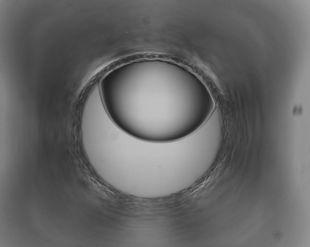 X0000091451352200708161038