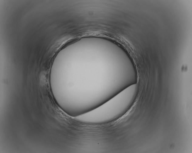 X0000091451353200708161038