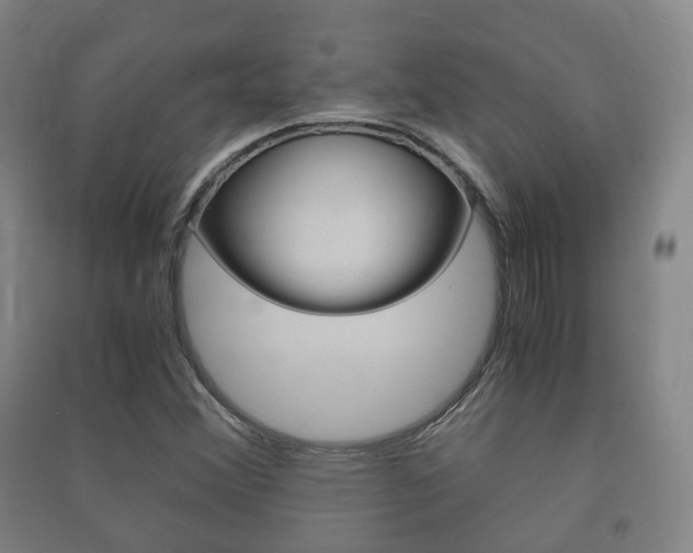 X0000091451356200708161038