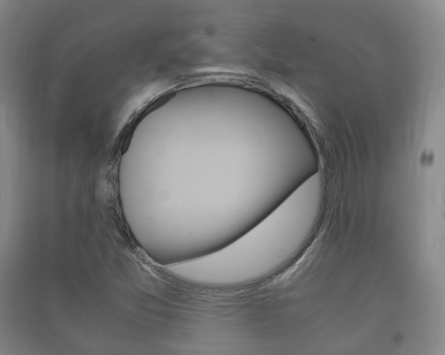X0000091451357200708161038