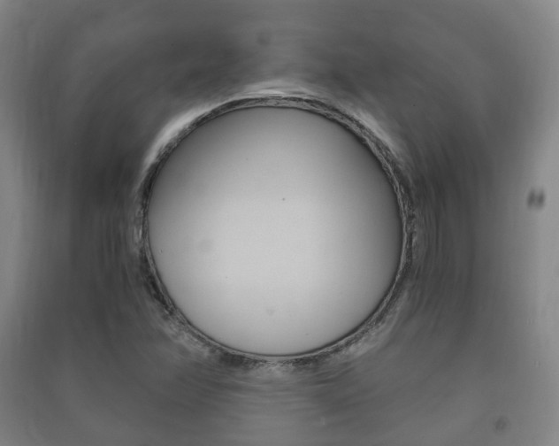 X0000091451358200708161038