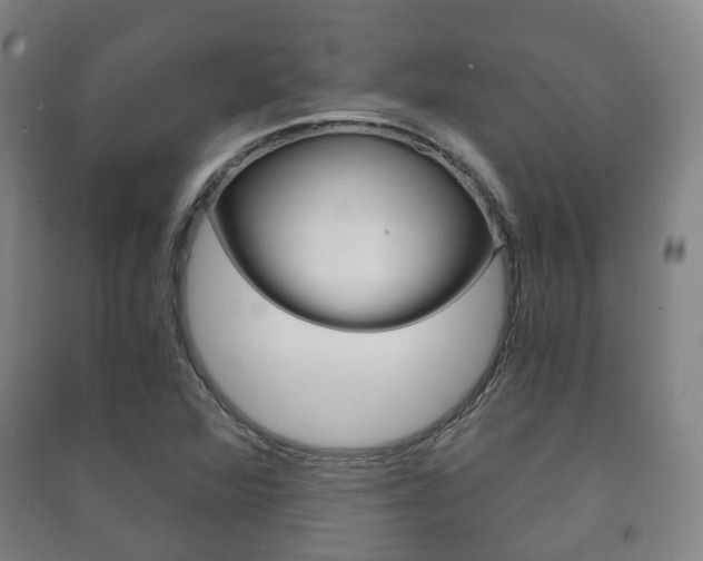 X0000091451360200708161038
