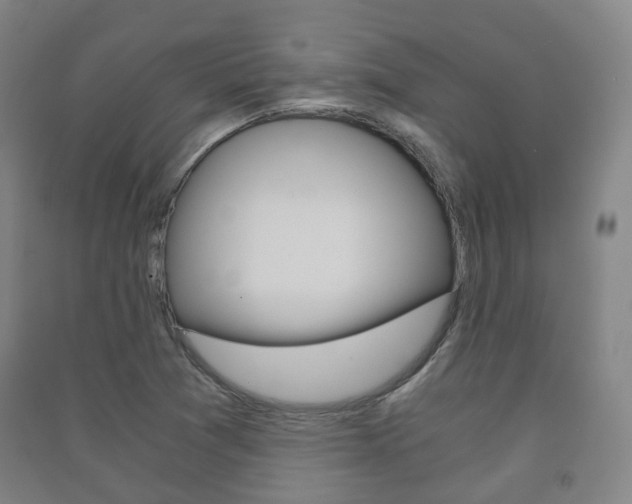 X0000091451361200708161038