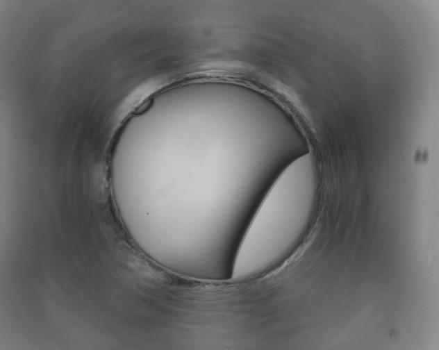 X0000091451362200708161038