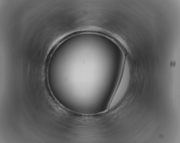 X0000091451364200708161038