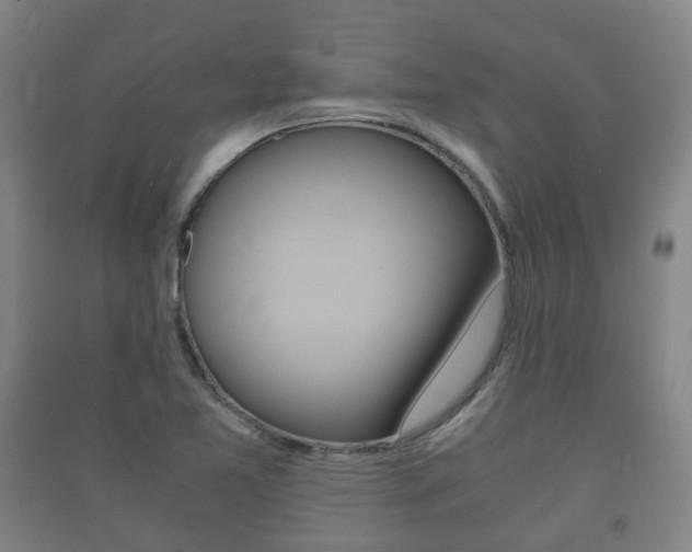 X0000091451365200708161038