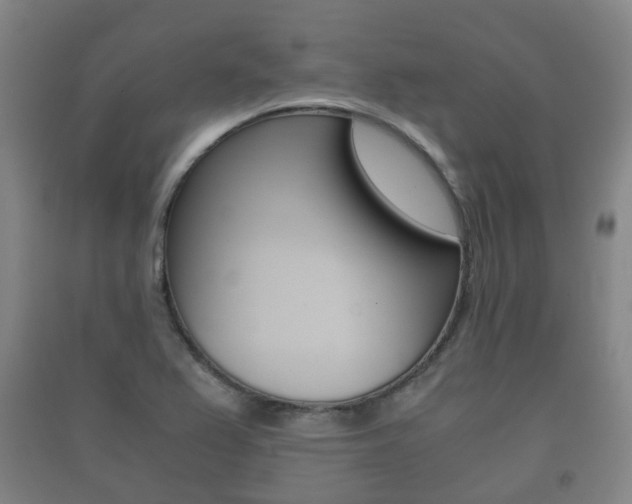 X0000091451367200708161038