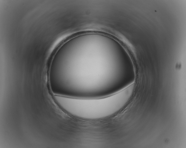 X0000091451368200708161038