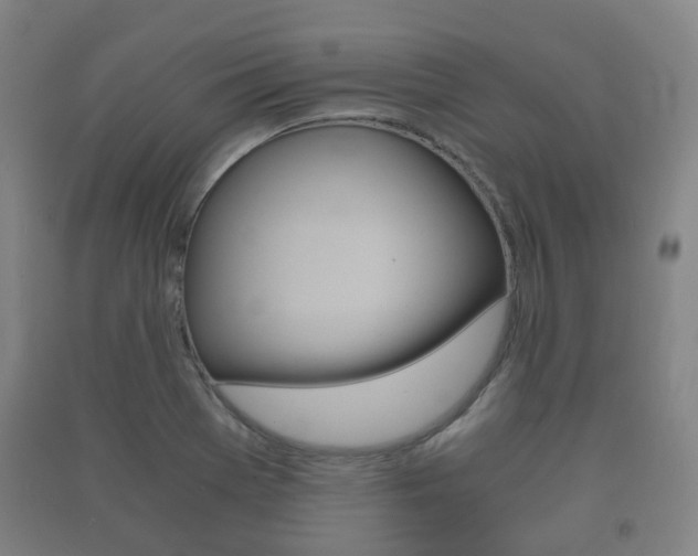 X0000091451369200708161038