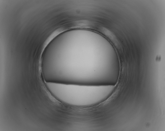 X0000091451370200708161038