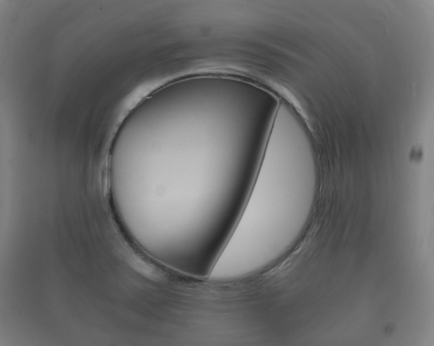 X0000091451371200708161038