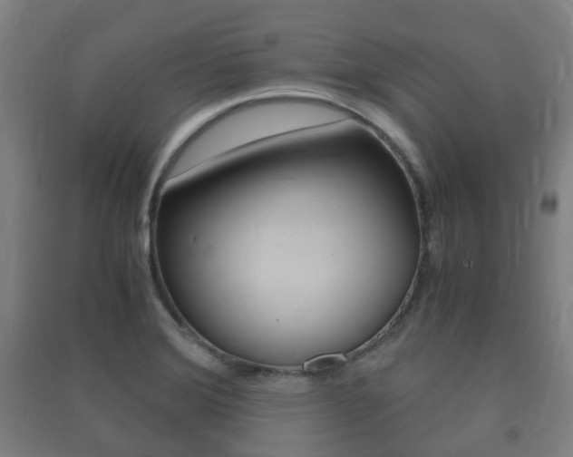 X0000091451372200708161038