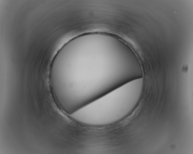 X0000091451374200708161038