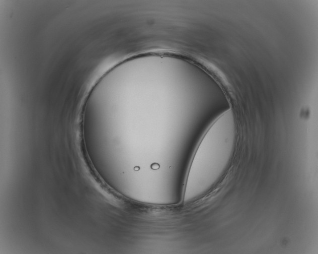 X0000091451375200708161038