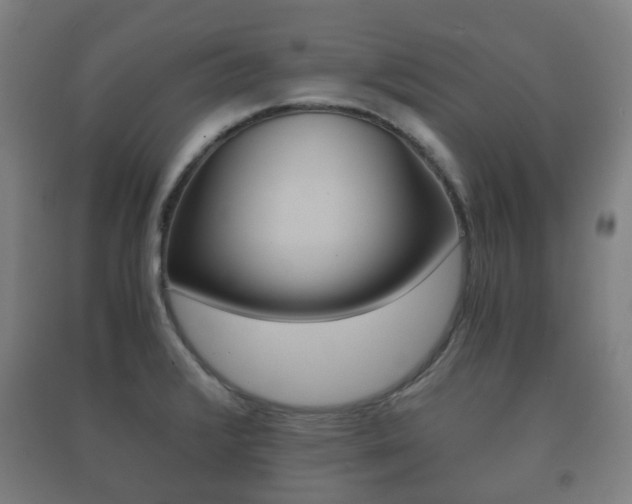 X0000091451376200708161038