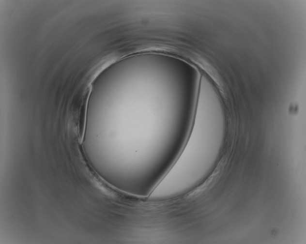 X0000091451377200708161038