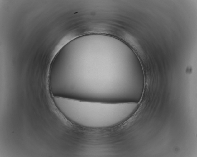X0000091451378200708161038
