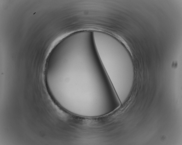 X0000091451379200708161038