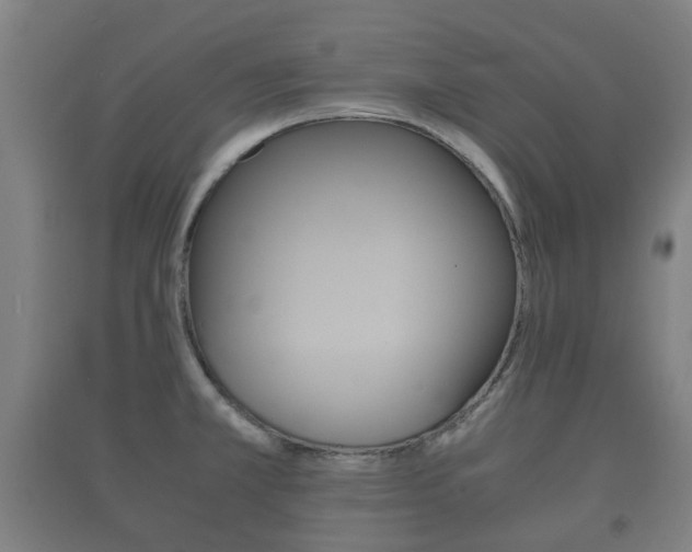 X0000091451381200708161038