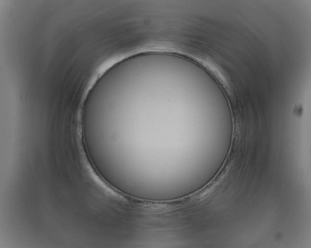 X0000091451382200708161038
