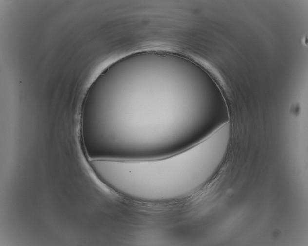 X0000091451383200708161038