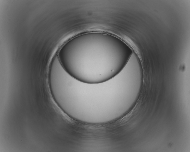 X0000091451384200708161038
