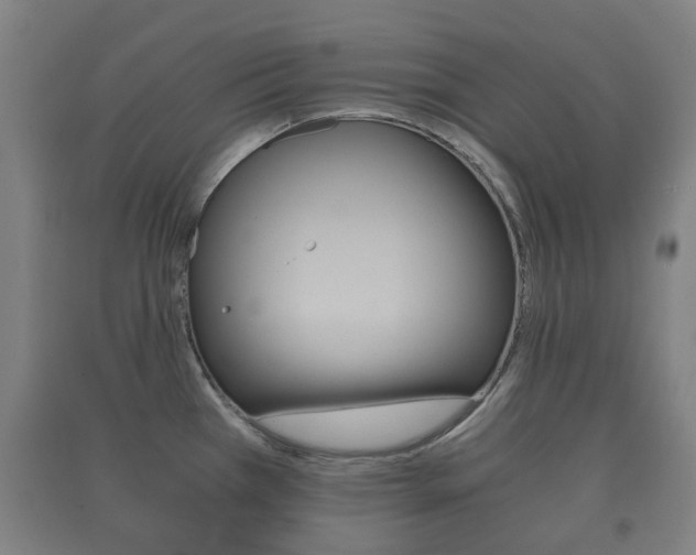 X0000091451385200708161038