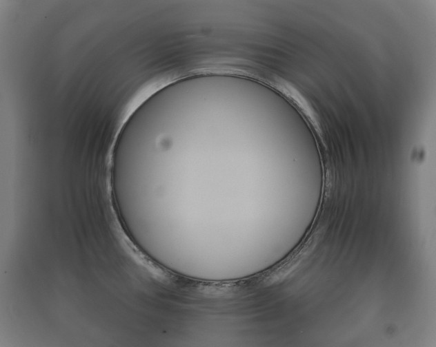 X0000091451386200708161038