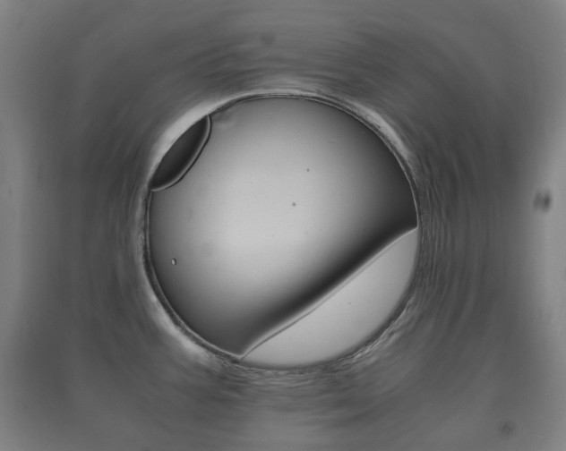 X0000091451387200708161038