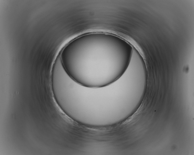 X0000091451388200708161038