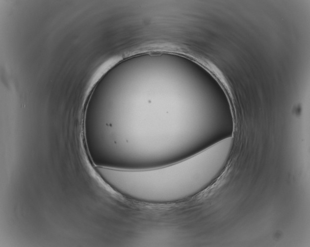 X0000091451389200708161038