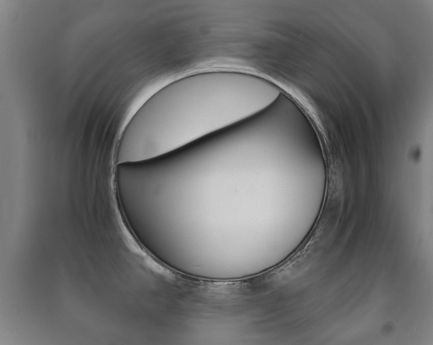 X0000091451390200708161038