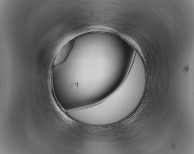 X0000091451391200708161038