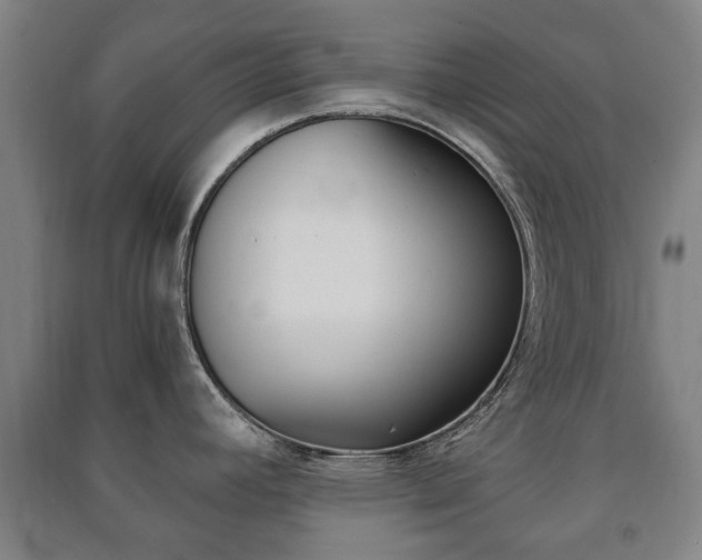 X0000091451392200708161038