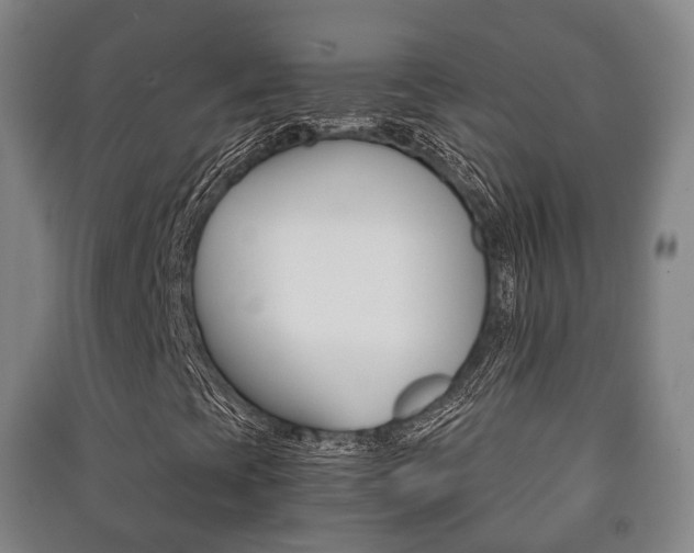 X0000091451393200708161037