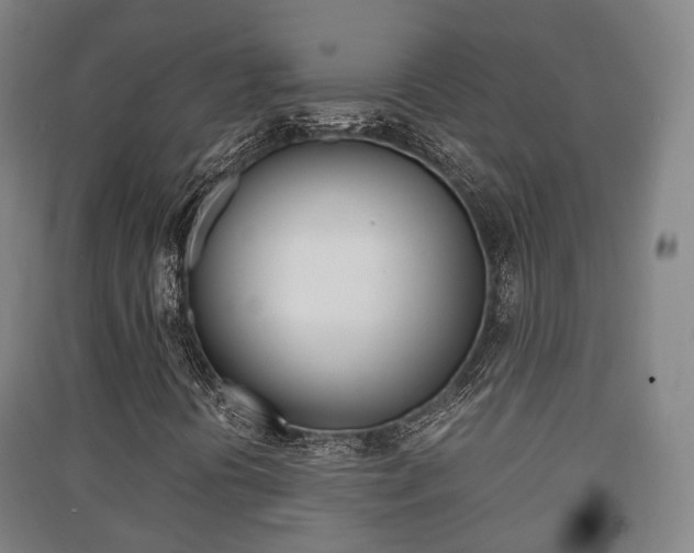 X0000091451394200708161037