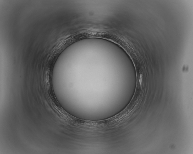 X0000091451396200708161037