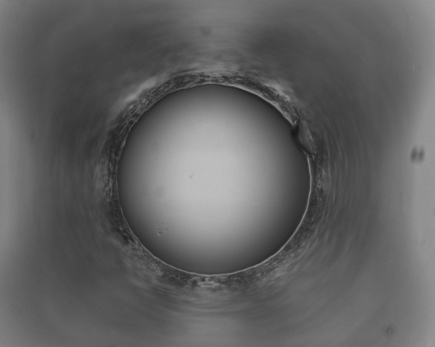X0000091451398200708161037