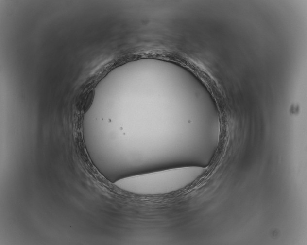X0000091451399200708161037