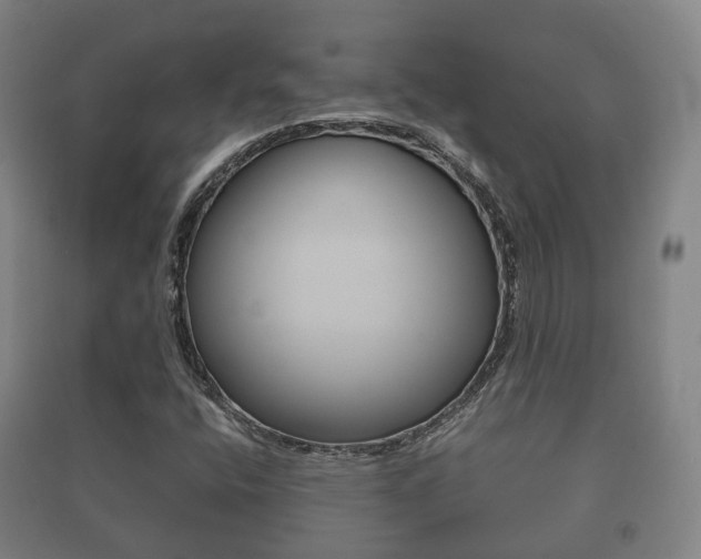 X0000091451400200708161037