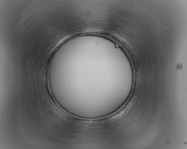 X0000091451401200708161037