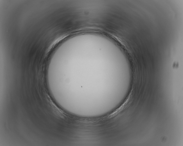 X0000091451402200708161037