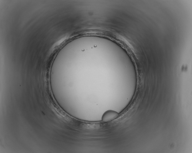 X0000091451403200708161037