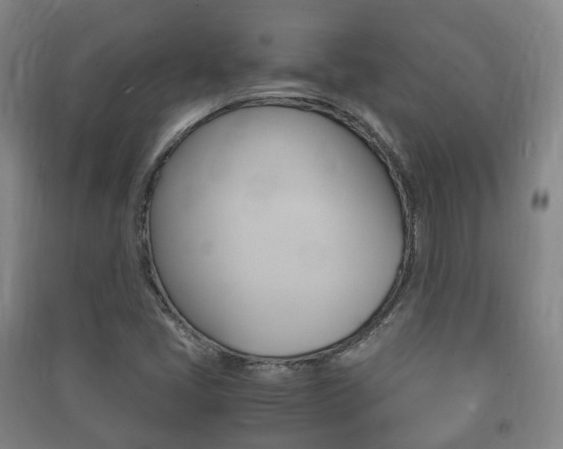 X0000091451405200708161037
