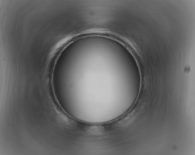 X0000091451406200708161037